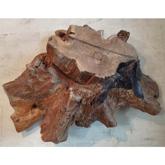 Brutalist Sculptural Wooden Centerpiece, 1970s For Sale - Image 3 of 18
