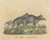 Karl Joseph Brodtmann, Tapir Family with Juvenile in Tropical Wetland, 1816, Lithograph For Sale - Image 10 of 10