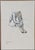 Richild holt *1941 einöde, austria untitled [seated female nude], 2003 mixed media (charcoal, colored chalks, watercolor,...