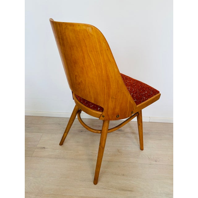 Mid-Century Modern Dining Chair by Radomír Hofman for Ton, 1950s For Sale - Image 6 of 13