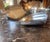 1970s Silver-Plate Butler Crumb Catcher & Brush For Sale - Image 6 of 9