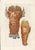 Original 18th-century natural-history copper engraving from Georg Wolfgang Knorr’s Deliciae Naturae Selectae, published in...