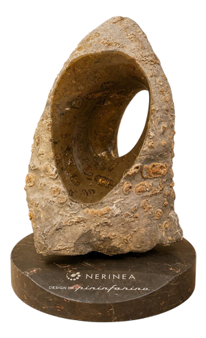 Vortex Rock in Jurassic Fossil Stone by Nerinea