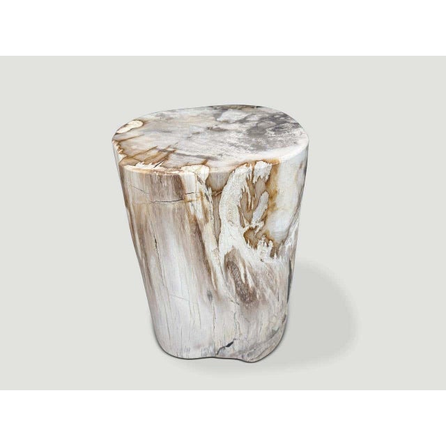 "Beautiful grey tones on this ancient high quality petrified wood side table. It’s fascinating how Mother Nature produces...