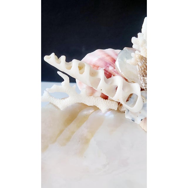 Handcrafted Oyster Shell Tray With Vintage Seashell Composition & Biwa Pearls — Coastal Sculptural Object For Sale - Image 11 of 14