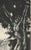 1920s Raphaël Drouart, The Awakening of the Fauns, 1920s, Etching For Sale - Image 5 of 11