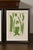 Set of Four 19th Century English Victorian Nature Printed Ferns in Black Frames For Sale - Image 9 of 12
