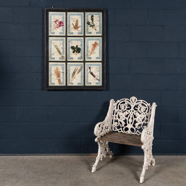 Large Italian Pressed Flowers and Herbs in Oak Frame, 1950s For Sale - Image 3 of 15
