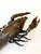 Large Japanese Bronze Lobster Okimono Meiji Period For Sale - Image 10 of 12