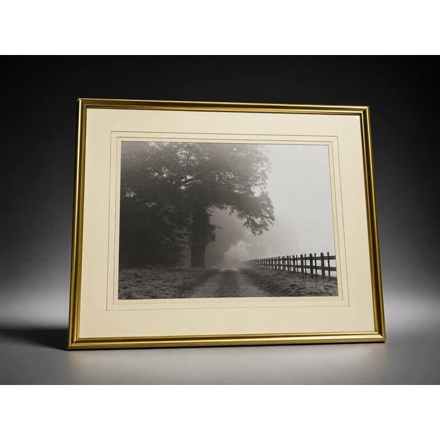 Mid 20th Century Misty Country Road Black and White Photograph in Gold Frame For Sale - Image 4 of 5