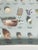 Tan Vintage Sea Shell Collection Marine Specimens For Sale - Image 8 of 9
