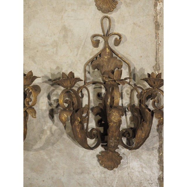 Brown Set of Four Vintage French 3-Arm Iron and Tole Sconces, Distressed Gilt Finish For Sale - Image 8 of 18