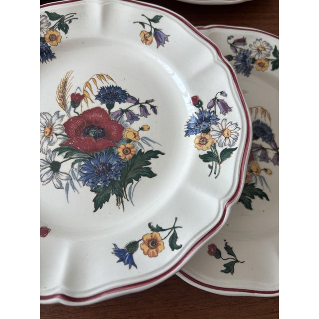 Ceramic Antique French Earthenware Dessert Plates with Agreste Pattern from Sarreguemines, 1960s, Set of 6 For Sale - Image 7 of 12