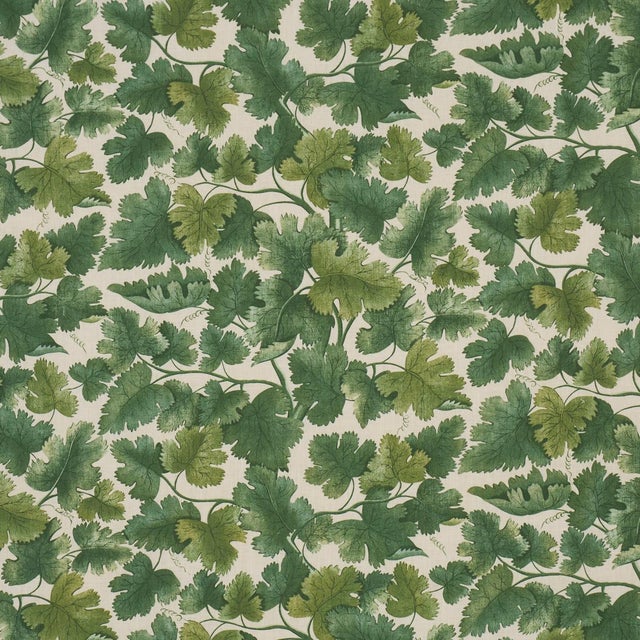 Schumacher Edinburgh Vine Fabric In Forest For Sale