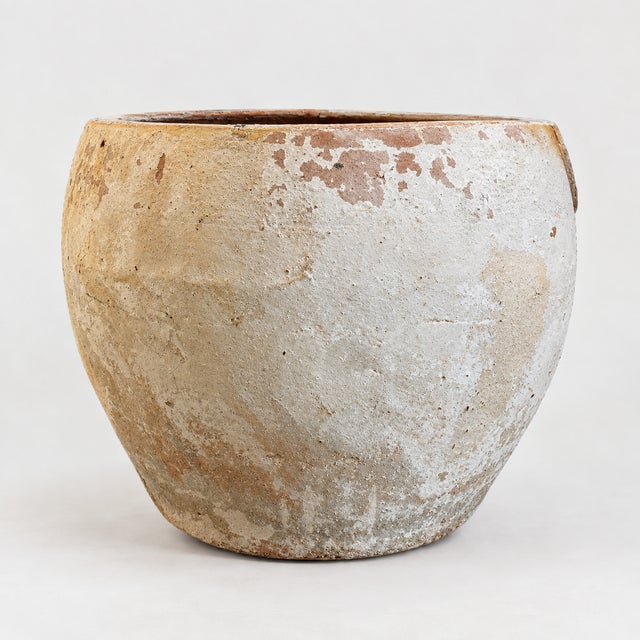 Early 20th Century Early 20th Century Large Clay Planter For Sale - Image 5 of 5