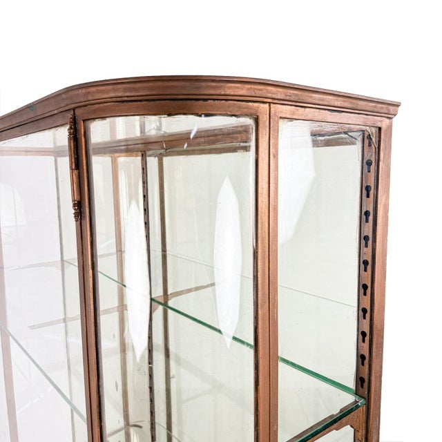 Metal Large Antique Metal Museum Display Cabinet with Curved Glass, 1890s For Sale - Image 7 of 18