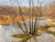 Paper 1970s Oil Painting Swamps For Sale - Image 7 of 12
