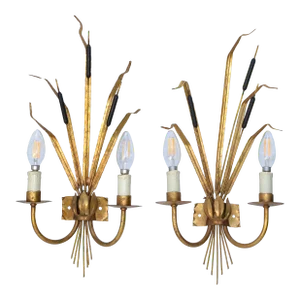 Pair of Rush Ferrocolor Sconces, Wall Lights Spain 1960