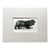 Antique 1890s Dog Print in 8 x 10 Mat: "The Black Field Spaniel...Buckle" For Sale