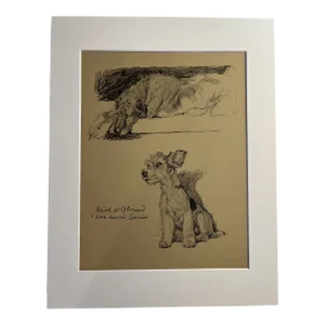 1935 Wolfhound and Terrier Aldin Print