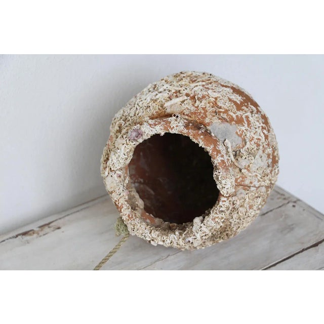 19th Century Terracotta Octopus Trap Vase For Sale - Image 11 of 13