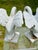 Coastal Vintage Cast Iron Swan Garden Ornaments, a Pair For Sale - Image 3 of 11
