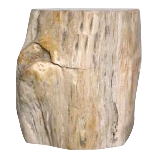 Organic Petrified Wood Stump#543 (Pine/Ivory) - Supellex For Sale
