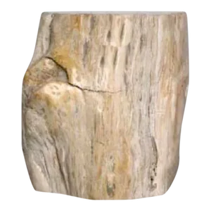 Organic Petrified Wood Stump#543 (Pine/Ivory) - Supellex