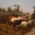 Filippo Palizzi, Pastoral Genre Scene Painting, the Defense of the Grass, 1880, Oil on Canvas For Sale - Image 4 of 16