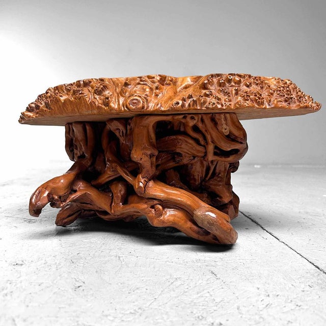 Mid-Century Yakusugi (Yakusugi) Burl Wood Plant Stand, Japan, 1940s For Sale - Image 13 of 14