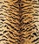 The House of Scalamandré Tigre Fabric, Ivory, Gold & Black For Sale