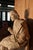 Large Plaster Statue from Jacques Callot, 1800s For Sale - Image 10 of 14