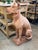 Ceramic Italian Terracotta Dog Statue For Sale - Image 7 of 8