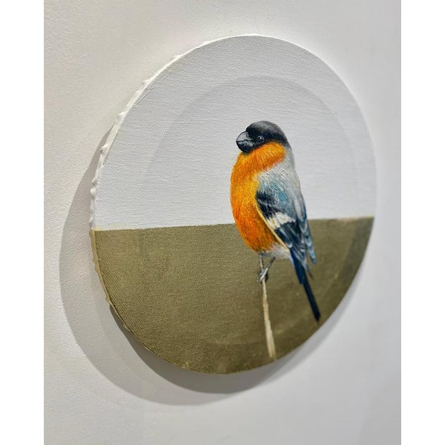 Anastasia Gklava, Eurasian Bullfinch, Orange & Black Bird Composition, Painting with Gold Leaf on Round Canvas, 2025 For Sale - Image 4 of 18