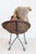 Textile Antique American Teddy Bears with Ribbons Sitting in Wicker Chairs, Priced Each For Sale - Image 7 of 15