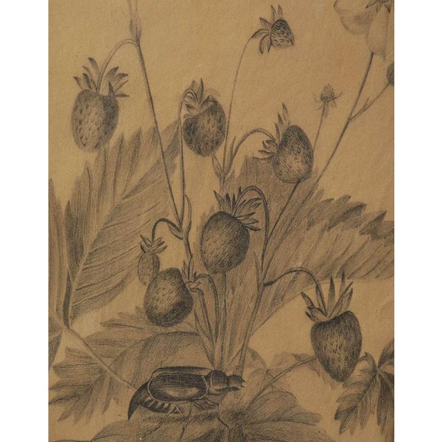 Margaret Trone, Swedish Empire Flower, Paper, Framed, Set of 2 For Sale - Image 12 of 14