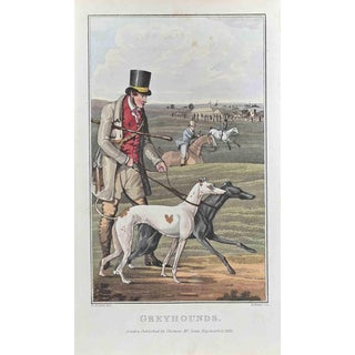 Henry Alken, Greyhounds, Etching, 1822 For Sale