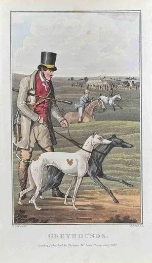 Henry Alken, Greyhounds, Etching, 1822