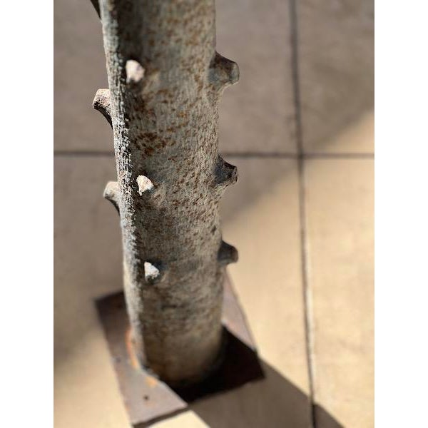 19th Century Iron L’Arbre À Voeux Sculpture For Sale - Image 4 of 10