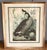 Green Pair of Vintage Framed Bird Illustration Lithographs by John James Audubon For Sale - Image 8 of 16