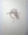 Edna Hibel "Ove" & "Elisabet"- Signed Lithographs-Two (2) Child Portraits - 10 1/4 X 16- Child Portraits Unframed For Sale - Image 4 of 9