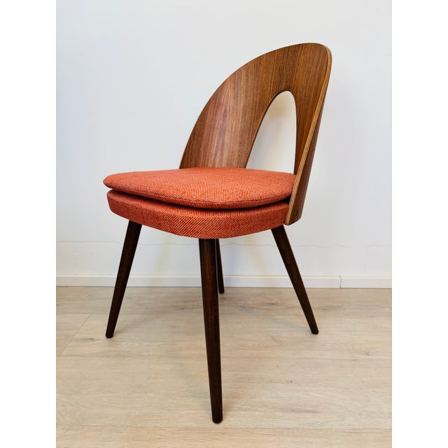 Mid-Century Dining Chair by Antonin Suman for Ton, Former Czechoslovakia, 1960s For Sale - Image 10 of 10