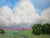 Delta Grasslands Stream Lynne French California Landscape 11x14 Oil Painting The signed original painting measures 11x14...