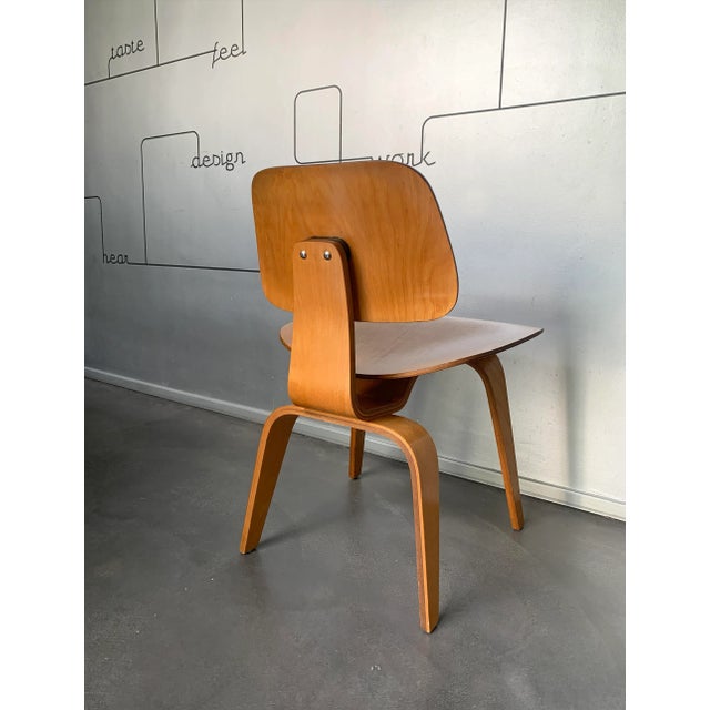 DCW Dining Chair in Wood by Charles & Ray Eames for Herman Miller, 1950s For Sale - Image 9 of 16