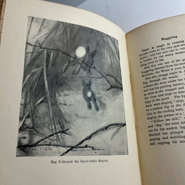 Green 1902 Wild Animals I Have Known Book For Sale - Image 8 of 13