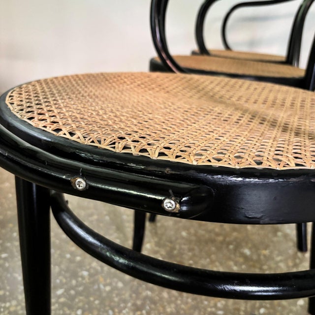 Model B9/209 Armchairs, 1970s, Set of 4 For Sale - Image 9 of 14