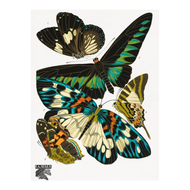 Vintage Butterfly Illustration, Art Deco Insect Print Reproduction, 1925, 18" × 24" For Sale