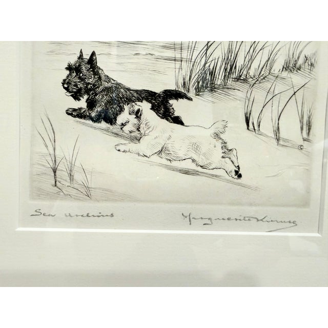 Art Deco 1930s Rare Marguerite Kirmse Artist Proof Etching Scottish Terrier "Sea Urchins" For Sale - Image 3 of 5