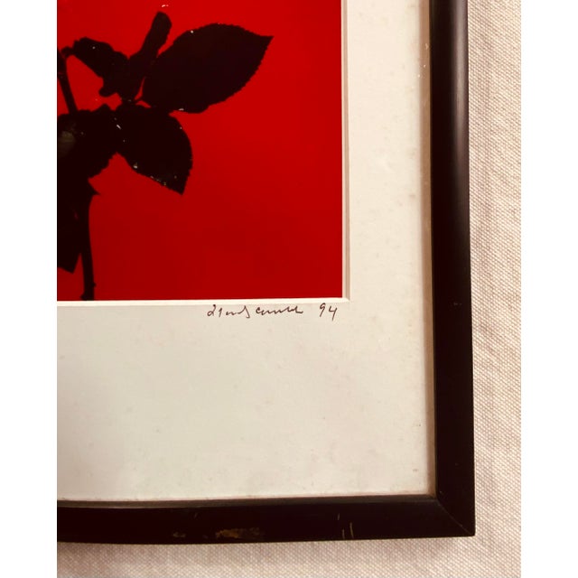 Francesco Scavullo "Rose" Photograph 1994 - Artist's Proof Botanical Still Life For Sale - Image 9 of 17