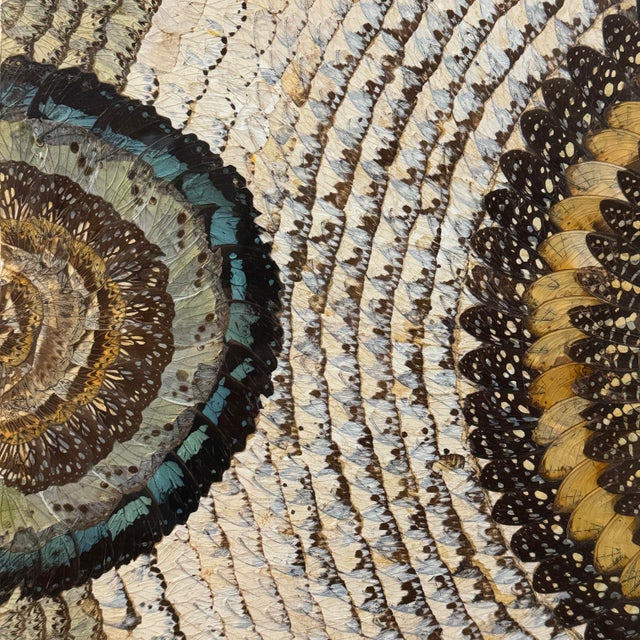 Vintage Abstract Folk Art Collage Composition in Butterfly Wings, Framed For Sale - Image 4 of 9